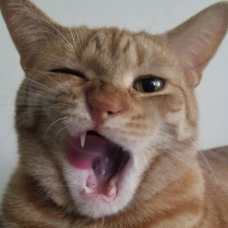 43207519_10103456400834018_603117101753827328_o